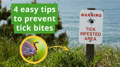 Quick Tips on How to Repel Ticks