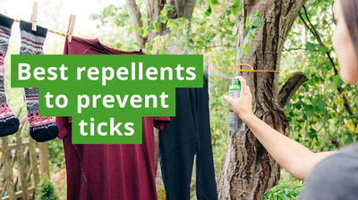 How Permethrin Can Help Repel Ticks and Prevent Tick Bites