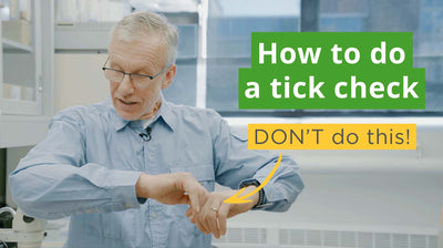 How to Do a Tick Check: Tips for You and Your Pets