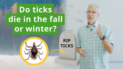 Do Ticks Die In The Fall Or Winter?