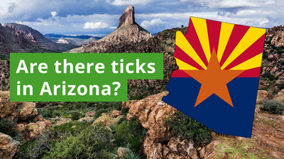 Are There Ticks in Arizona? A Guide to Arizona Tick Species