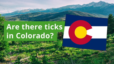 Are There Ticks in Colorado? A Guide to Colorado Tick Species