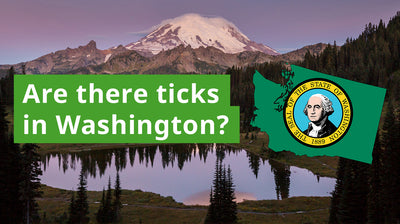 Are There Ticks in Washington? A Guide to Washington Tick Species