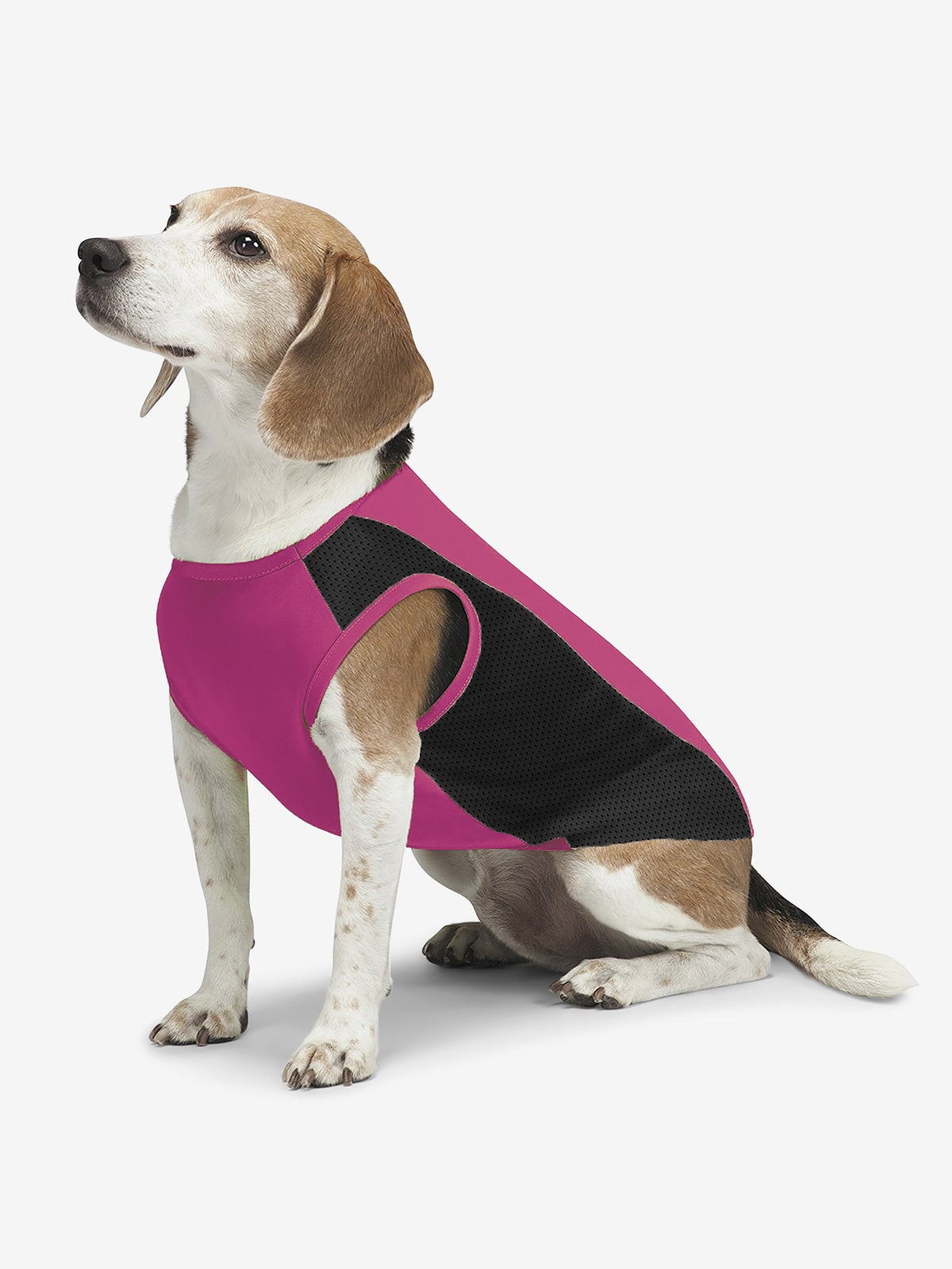 Insect Repellent Cooling Tank Top for Dogs Insect Shield