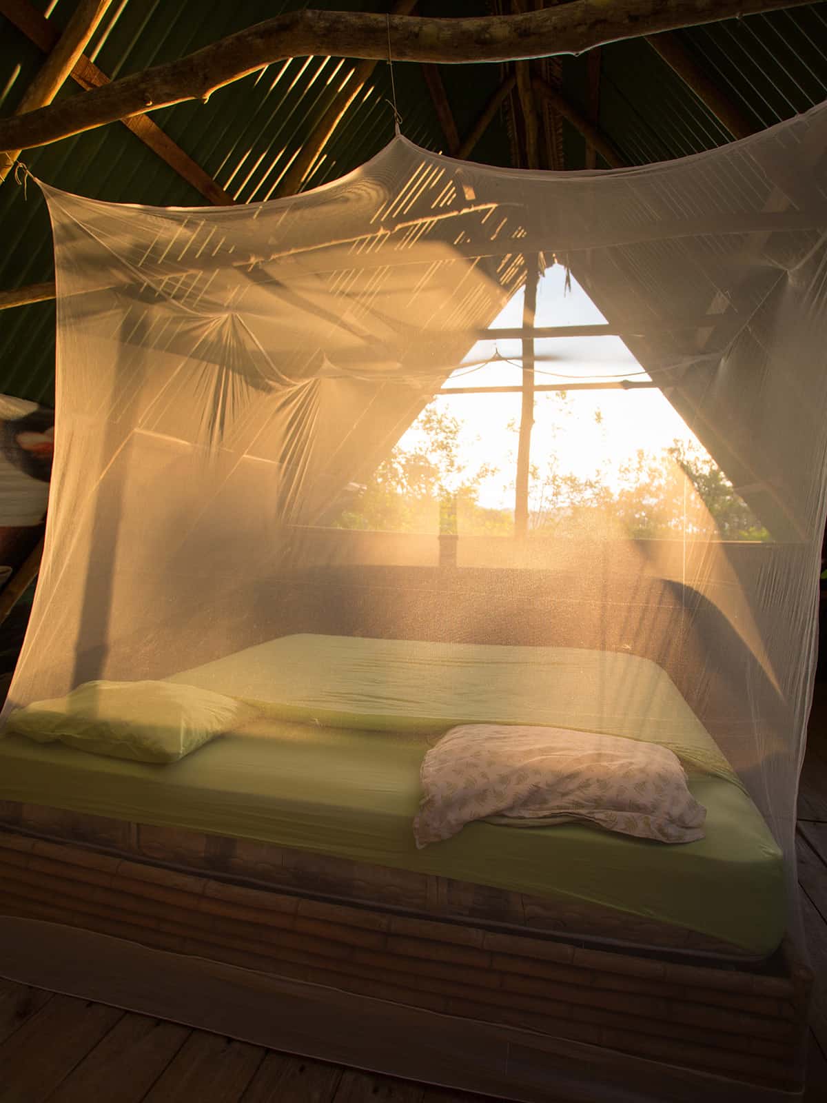 Insect Shield Mosquito Net with Bug Repellent