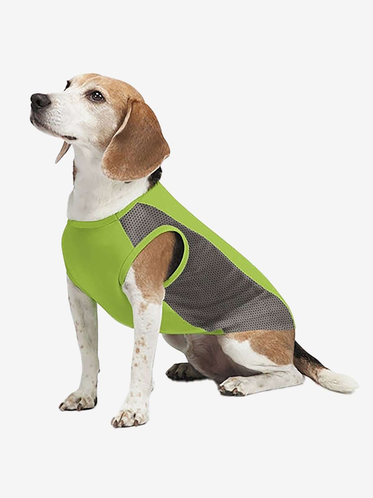 Insect shield breathable dog vest store