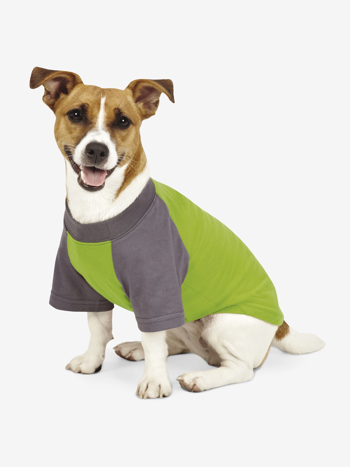 Insect Shield Premium Dog Tee
