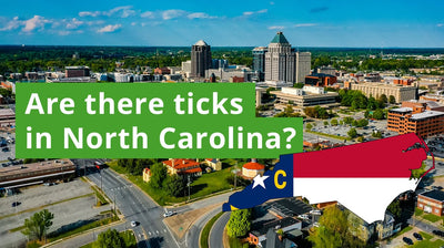 Are There Ticks in North Carolina?