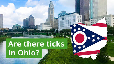 Are There Ticks in Ohio? A Guide to Ohio Tick Species