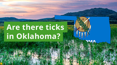 Are There Ticks in Oklahoma? A Guide to Oklahoma Tick Species