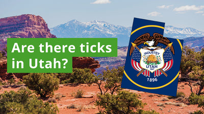 Are There Ticks in Utah? A Guide to Utah Tick Species