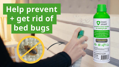 How to Prevent Bed Bugs with Permethrin Spray