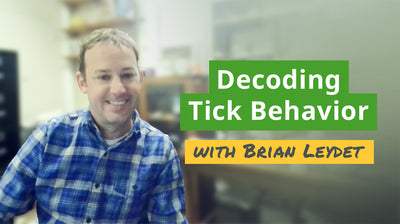 Decoding Tick Behavior
