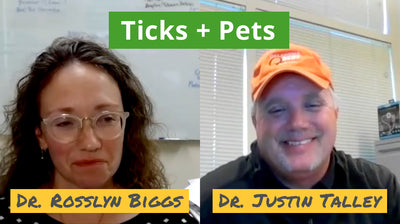 Pets, Ticks, and Tick-Borne Diseases