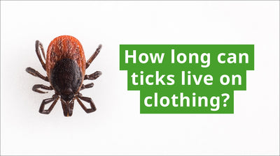 How Long Can Ticks Live on Clothing?