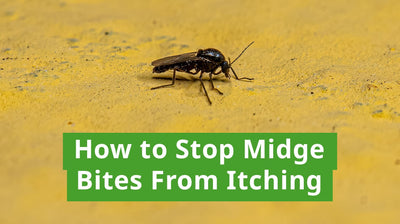 How to Stop Midge Bites From Itching