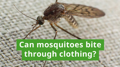 Can Mosquitoes Bite Through Clothing?