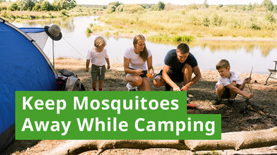 Best Way to Keep Mosquitoes Away While Camping