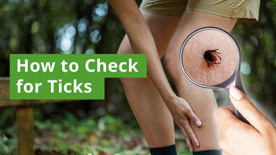 How to Perform an Effective Tick Check After Outdoor Activities