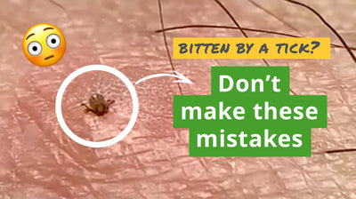 The Top 4 Tick Mistakes You Don't Want to Make