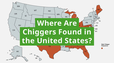 Where Are Chiggers Found in the United States?