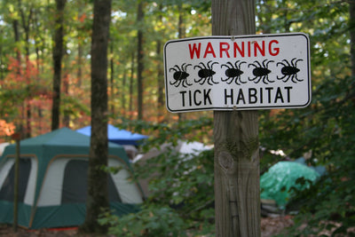 Babe Winkelman Launches Tick-Borne Illness Information Center