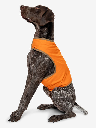 Insect Shield for Pets Hunting Dog Vest