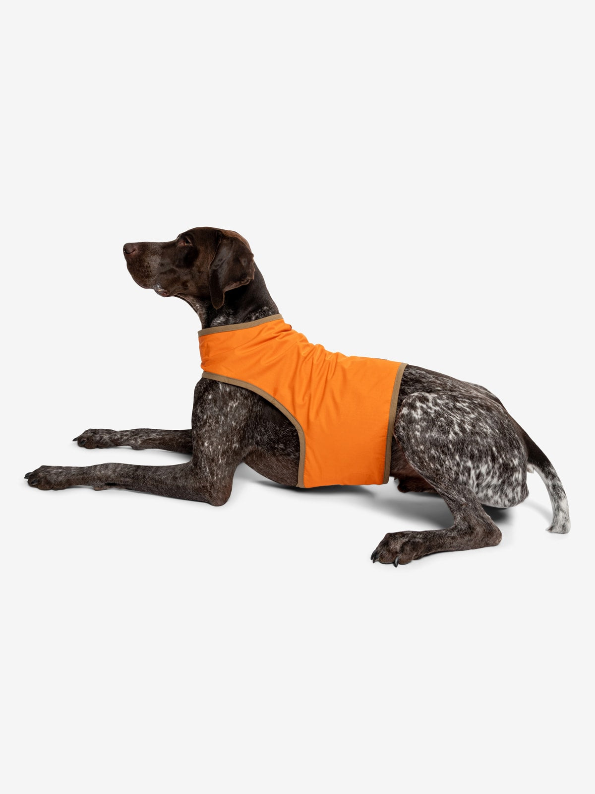Insect Shield for Pets Hunting Dog Vest