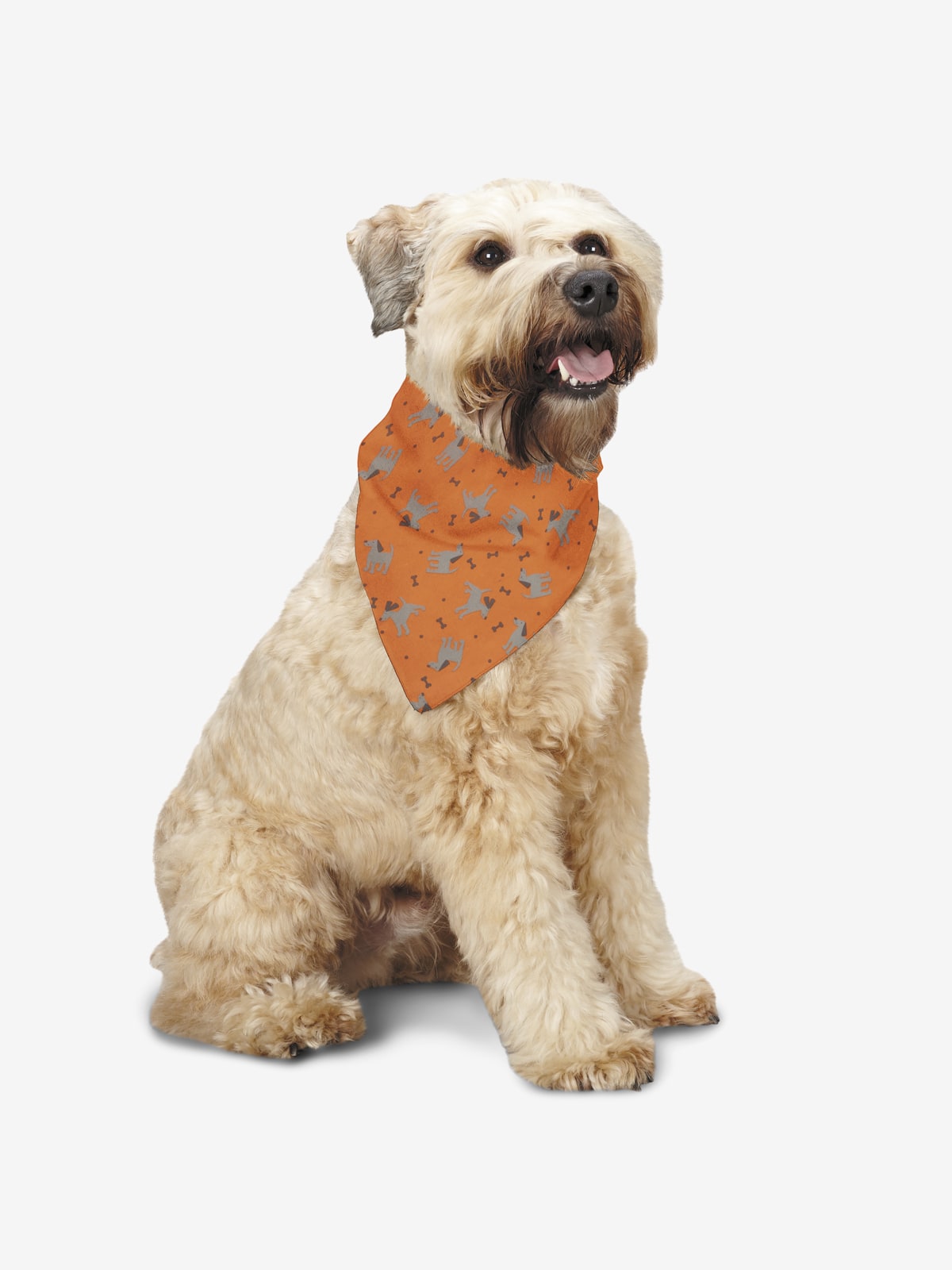 Dogs & Bones Bandana, Orange