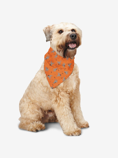 Dogs & Bones Bandana, Orange
