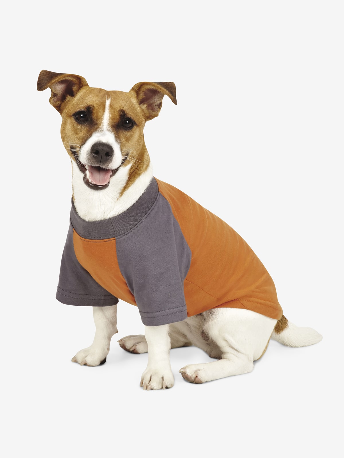 Insect shield shop dog shirt