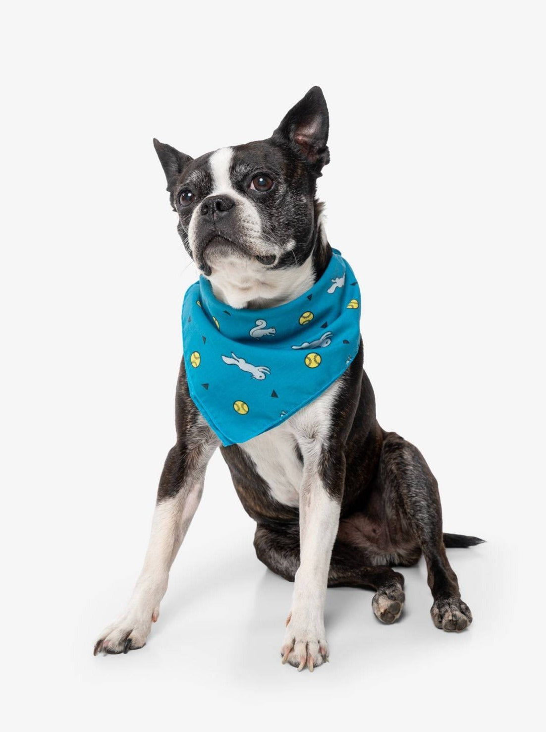 Insect Shield for Pets Ball & Squirrel Bandana