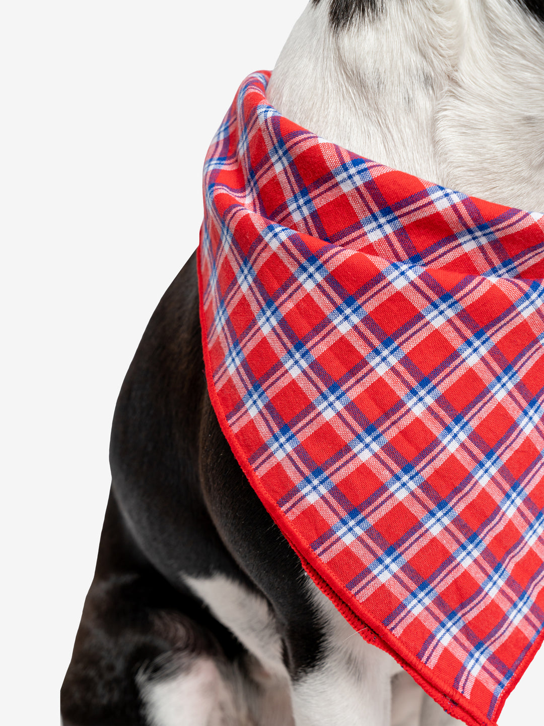 Five-pointed Star Dog Bandana Soft Cloth Pet Scarf... - Vicedeal Five-pointed Star Dog Bandana Soft Cloth Pet Scarf... - Vicedeal