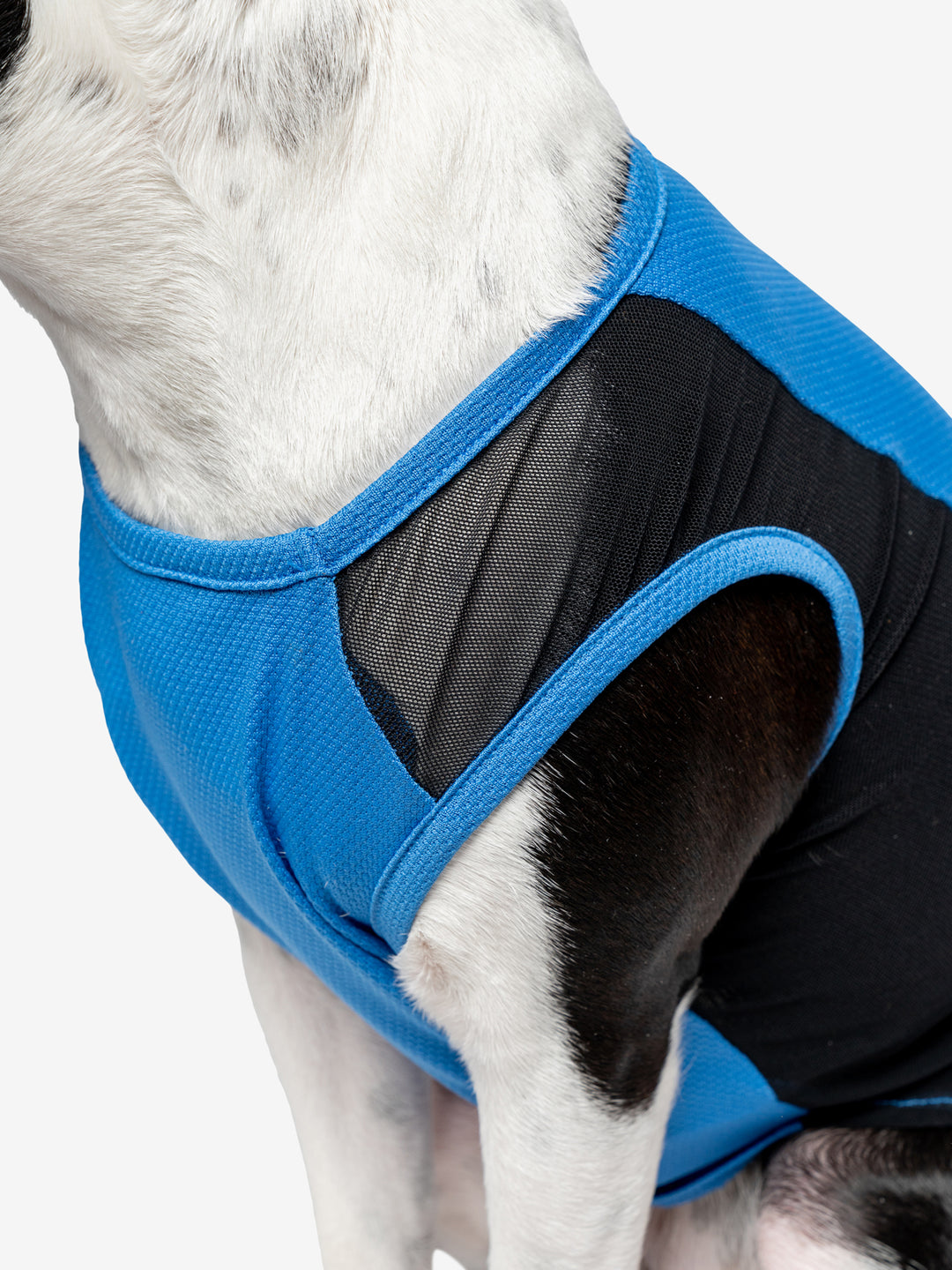 Insect Repellent Airflow Tank for Dogs – Insect Shield