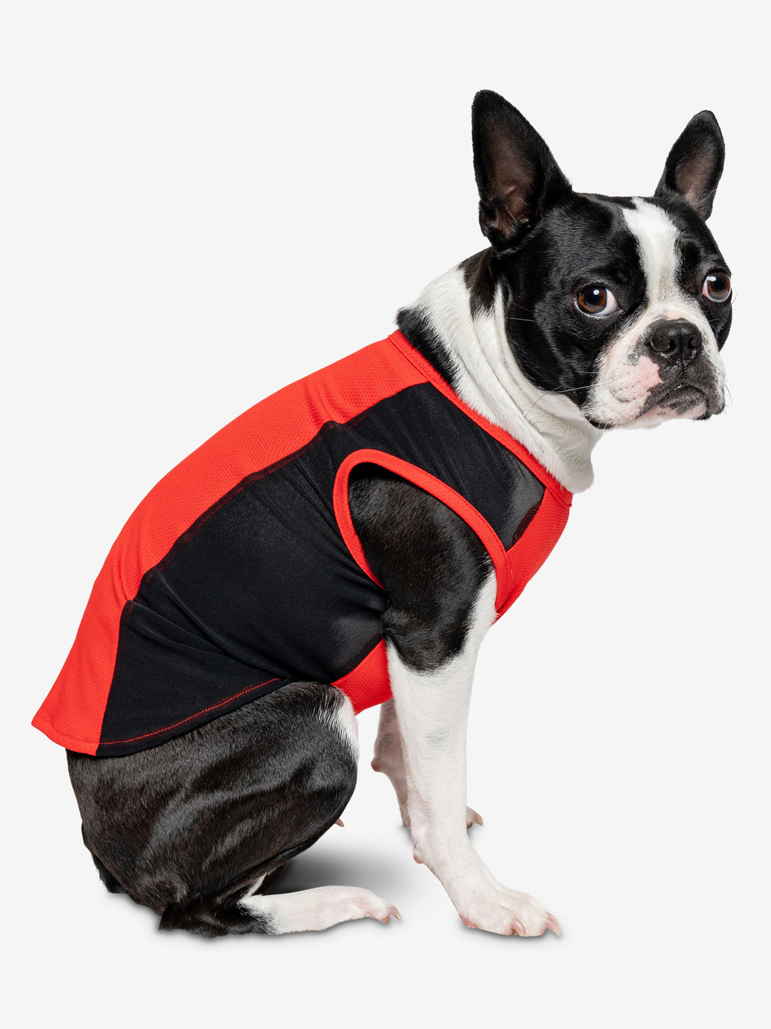Insect Repellent Airflow Tank for Dogs – Insect Shield
