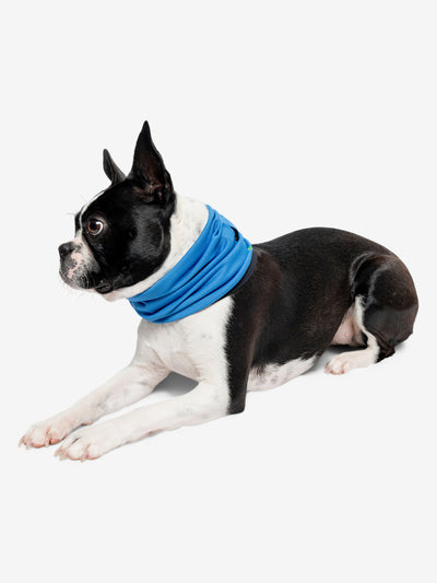 Insect Shield for Pets Airflow Gaiter