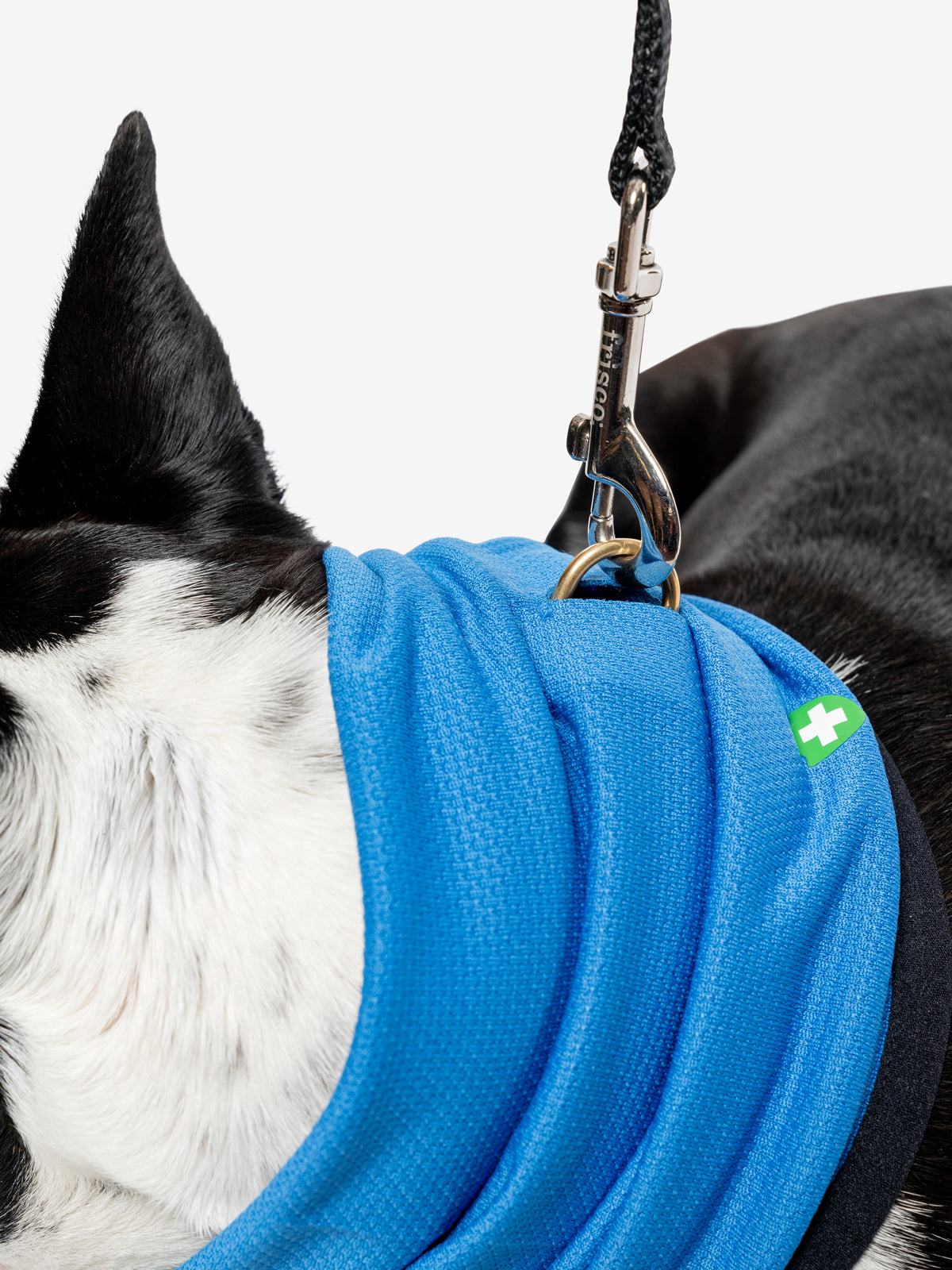 Insect Shield for Pets Airflow Gaiter