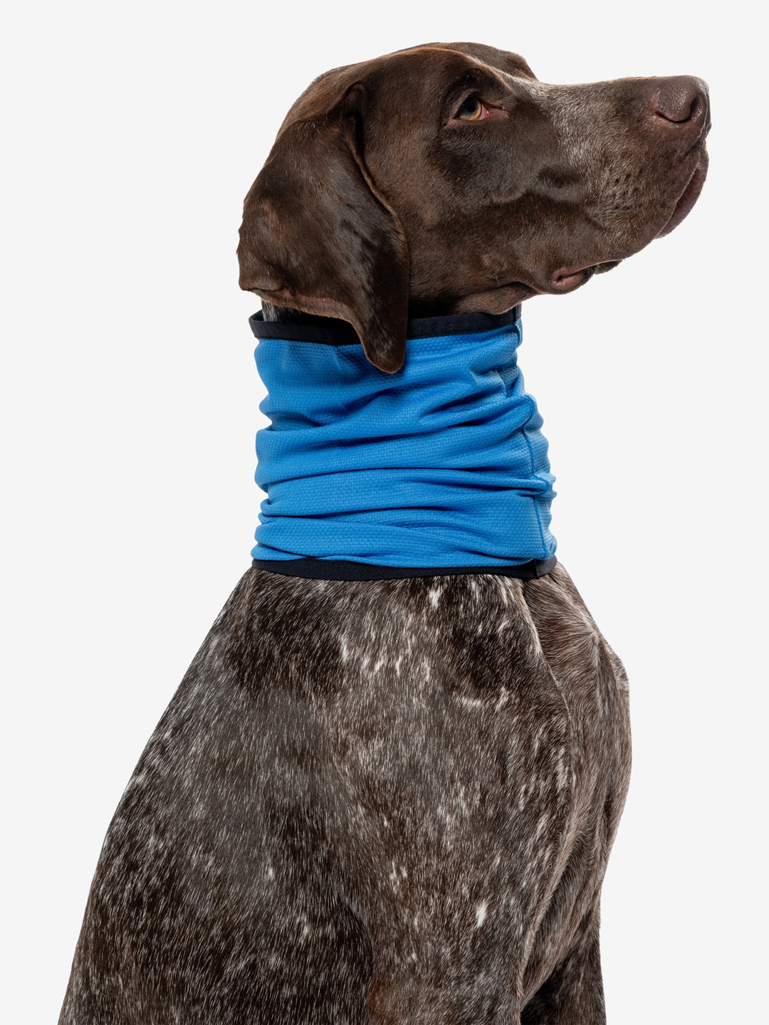 Insect Repellent Airflow Gaiter for Dogs – Insect Shield