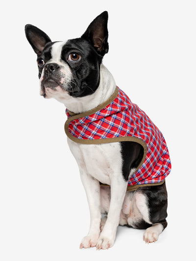 Insect Shield for Pets Trail Dog Vest