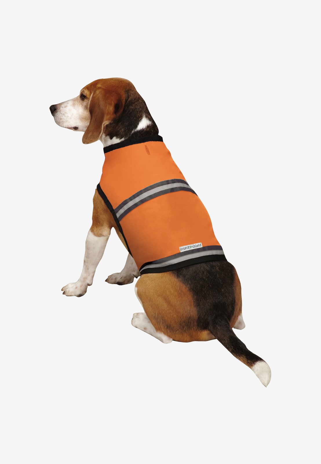 Reflective vest best sale for dog