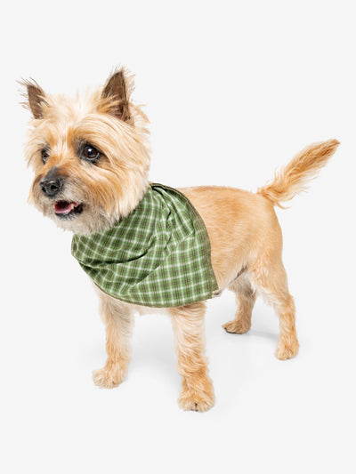 Insect Shield for Plaid Pet Bandana