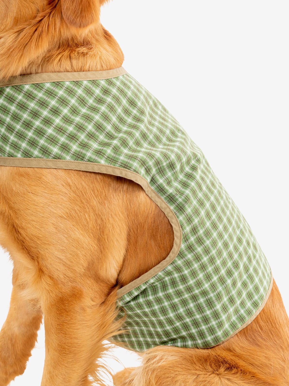 Insect Shield Plaid Pet Vest