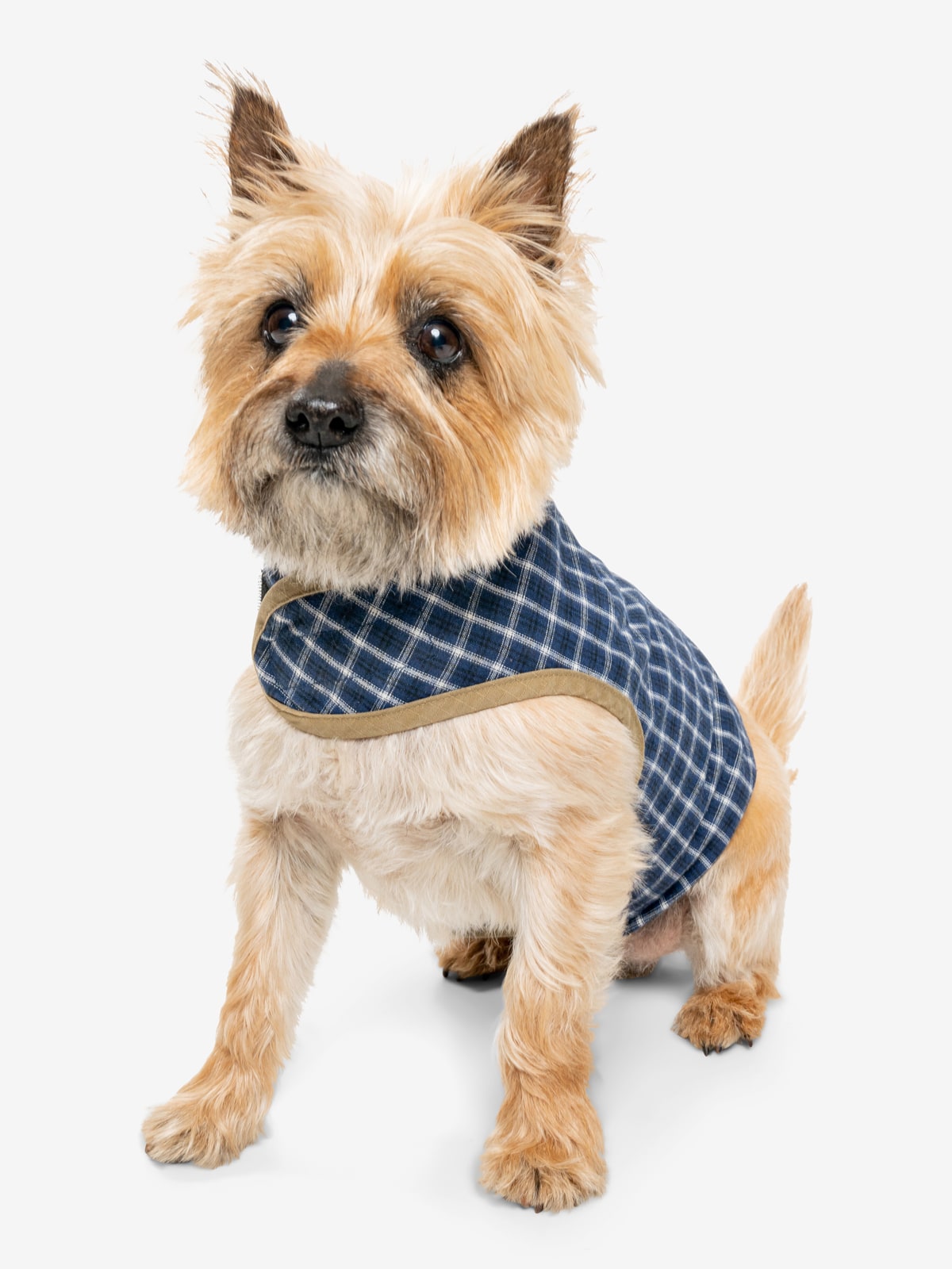 Insect Shield Plaid Pet Vest