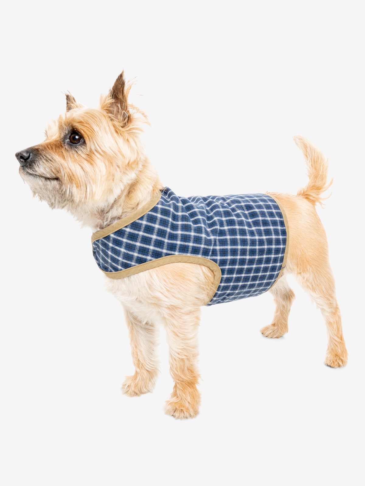 Insect Shield Plaid Pet Vest