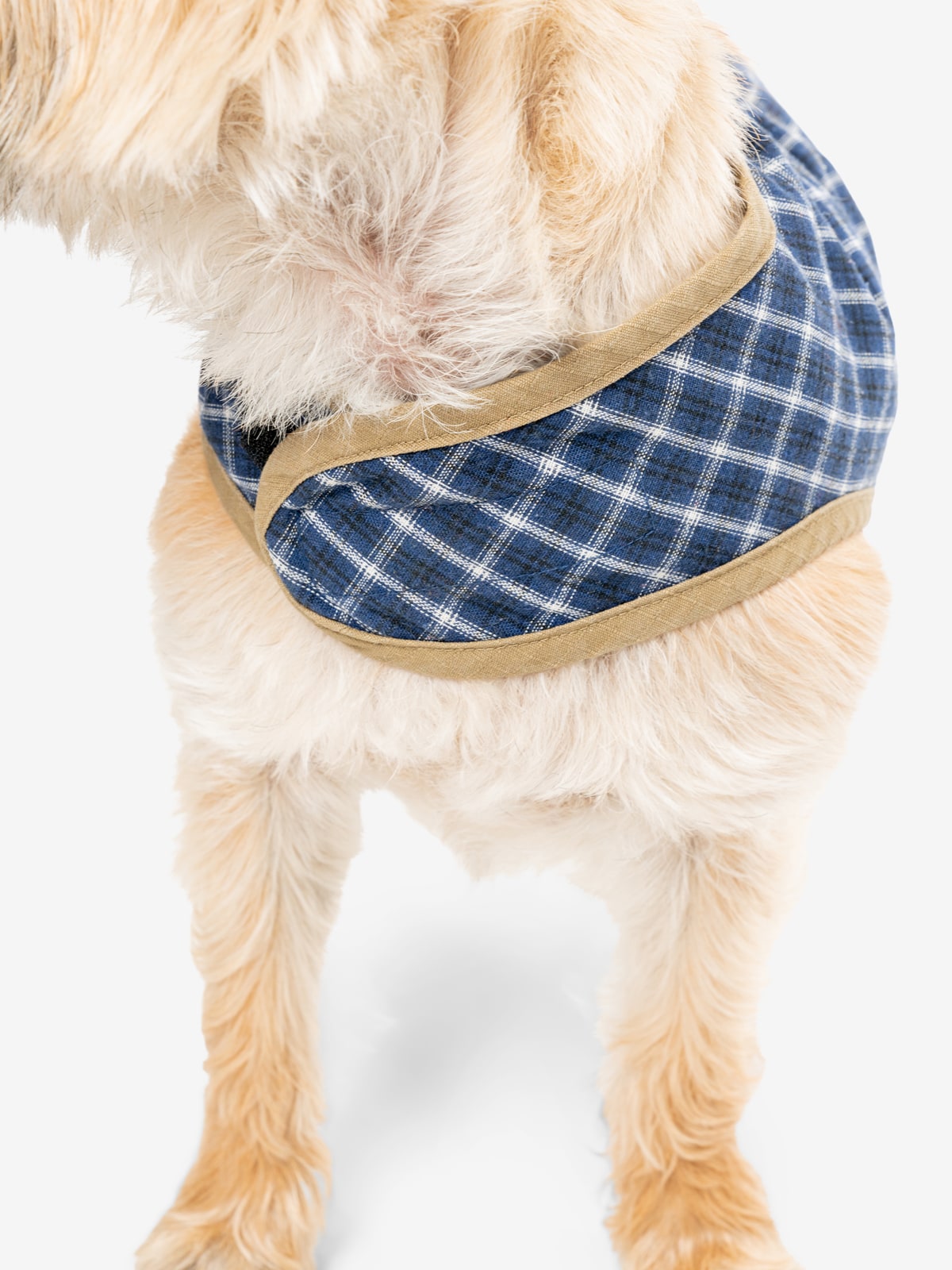 Insect Shield Plaid Pet Vest