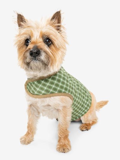 Insect Shield Plaid Pet Vest