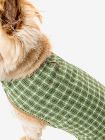 Insect Shield Plaid Pet Vest