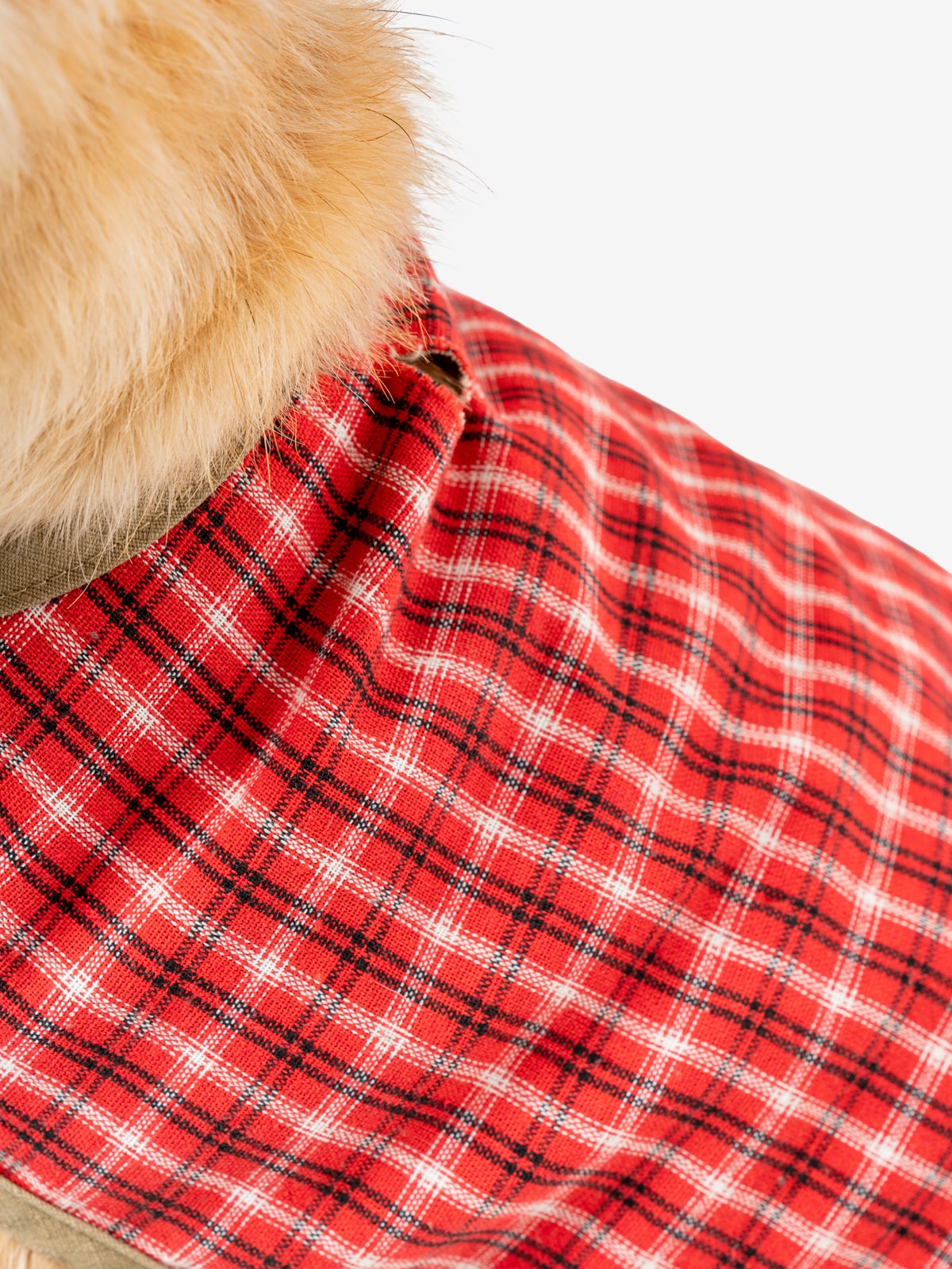 Insect Shield Plaid Pet Vest